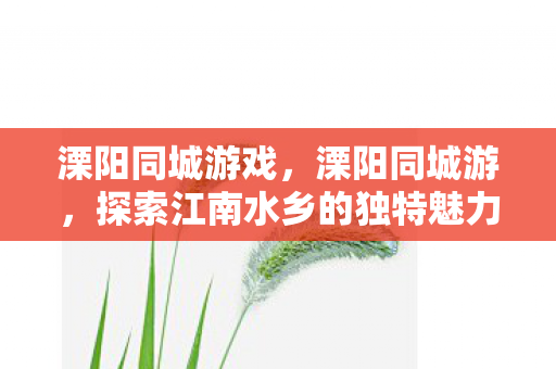 溧阳同城游戏，溧阳同城游，探索江南水乡的独特魅力