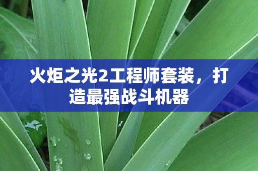 火炬之光2工程师套装图片