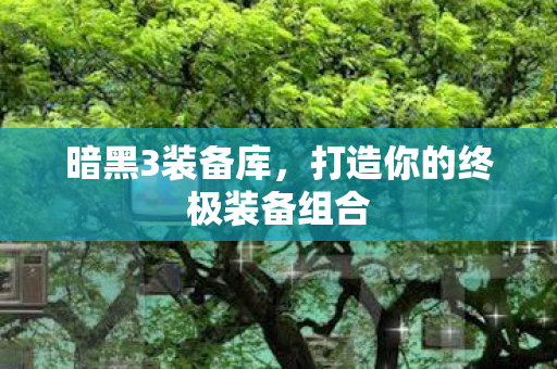 打造你的终极装备组合图片