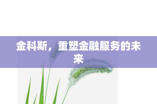 重塑金融服务的未来图片