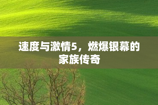 燃爆银幕的家族传奇图片