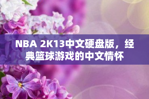 NBA 2K13中文硬盘版图片