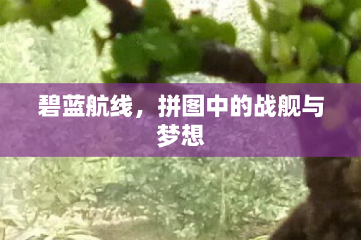 拼图中的战舰与梦想图片