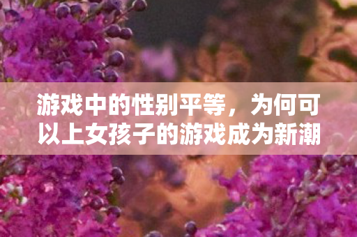 为何可以上女孩子的游戏成为新潮流图片