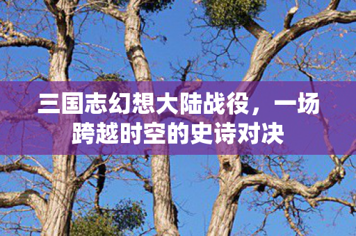一场跨越时空的史诗对决图片