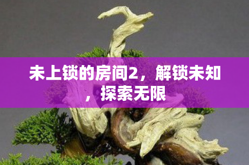 未上锁的房间2图片