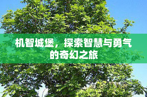 探索智慧与勇气的奇幻之旅图片