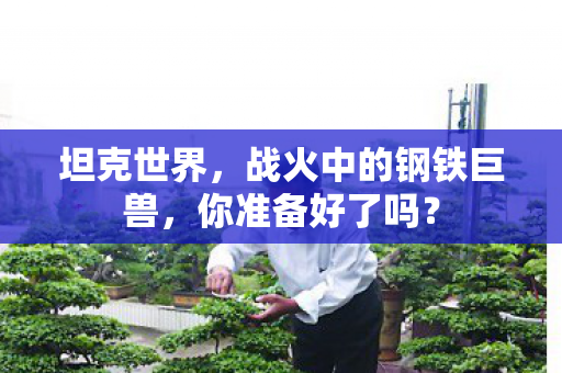 坦克世界,战火中的钢铁巨兽,你准备好了吗? 坦克世界,战火中的钢铁巨兽,你准备好了吗?