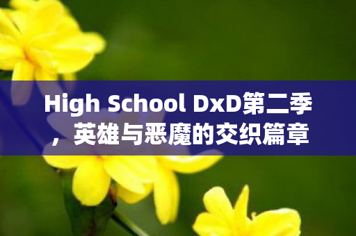 High School DxD第二季图片