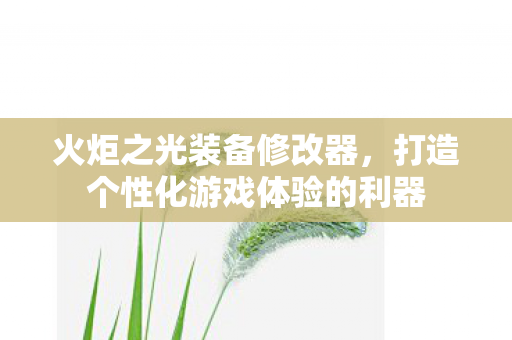 打造个性化游戏体验的利器图片