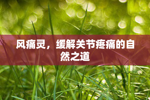 风痛灵，缓解关节疼痛的自然之道