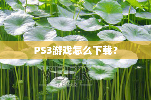 PS3游戏怎么下载？