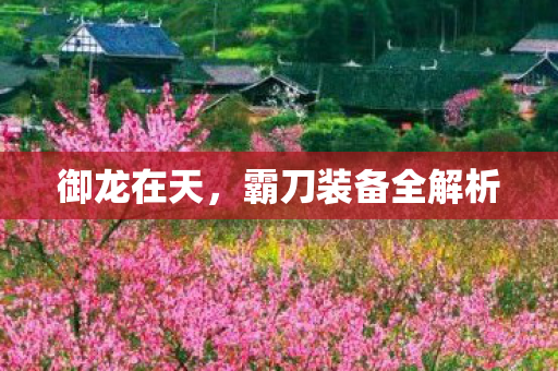 御龙在天，霸刀装备全解析