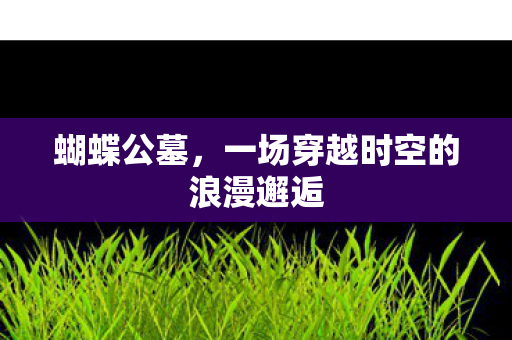 一场穿越时空的浪漫邂逅图片