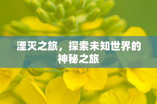 探索未知世界的神秘之旅图片