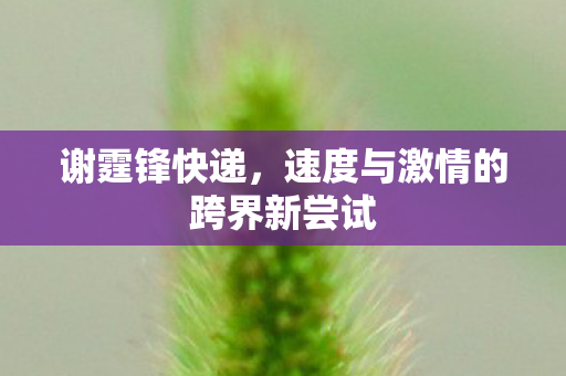 谢霆锋快递，速度与激情的跨界新尝试