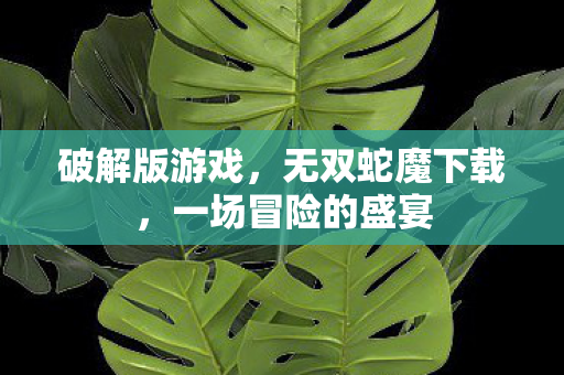 一场冒险的盛宴图片