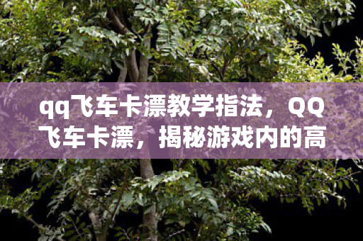 qq飞车卡漂教学指法,QQ飞车卡漂,揭秘游戏内的高速行驶技巧 qq飞车卡漂教学指法,QQ飞车卡漂,揭秘游戏内的高速行驶技巧