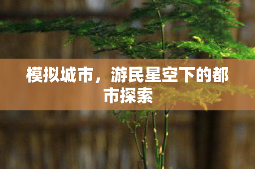 模拟城市，游民星空下的都市探索
