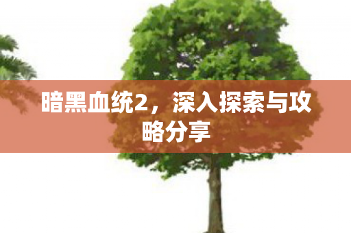 暗黑血统2，深入探索与攻略分享