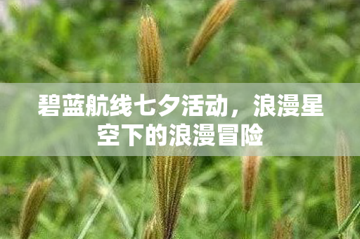 碧蓝航线七夕活动，浪漫星空下的浪漫冒险