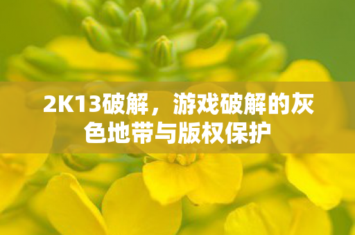 2K13破解，游戏破解的灰色地带与版权保护