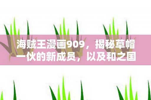 海贼王漫画909，揭秘草帽一伙的新成员，以及和之国篇的序幕