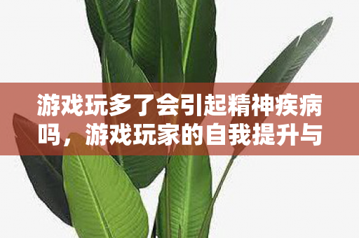 游戏玩多了会引起精神疾病吗,游戏玩家的自我提升与成长 游戏玩多了会引起精神疾病吗,游戏玩家的自我提升与成长