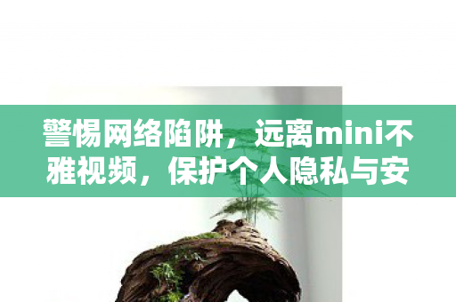 警惕网络陷阱，远离mini不雅视频，保护个人隐私与安全