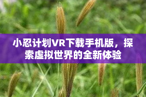 小忍计划VR下载手机版，探索虚拟世界的全新体验