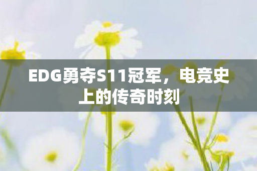 EDG勇夺S11冠军，电竞史上的传奇时刻