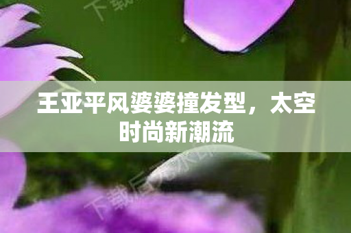 王亚平风婆婆撞发型图片