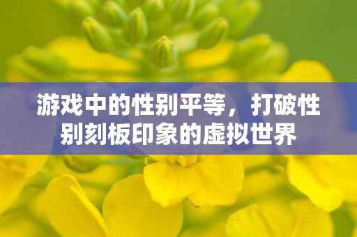 游戏中的性别平等，打破性别刻板印象的虚拟世界
