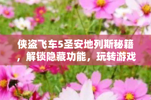 侠盗飞车5圣安地列斯秘籍，解锁隐藏功能，玩转游戏世界