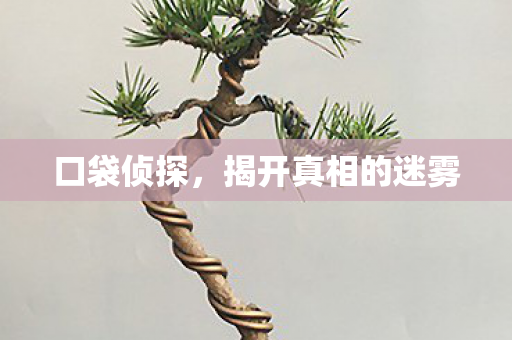 揭开真相的迷雾图片