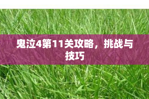 鬼泣4第11关攻略，挑战与技巧