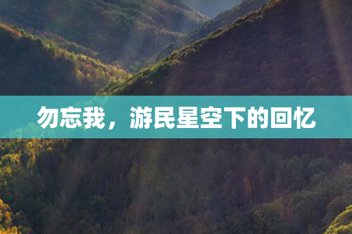 勿忘我，游民星空下的回忆