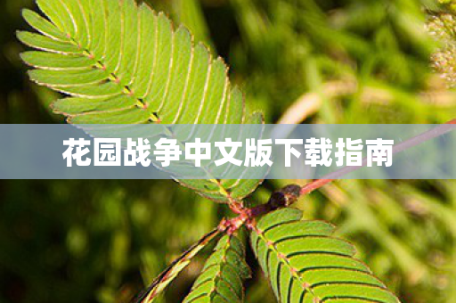 花园战争中文版下载指南