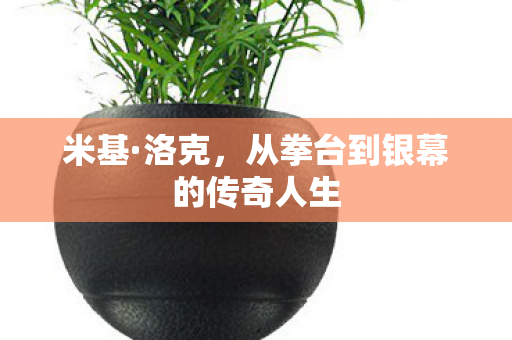 米基·洛克，从拳台到银幕的传奇人生