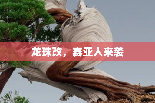 龙珠改，赛亚人来袭