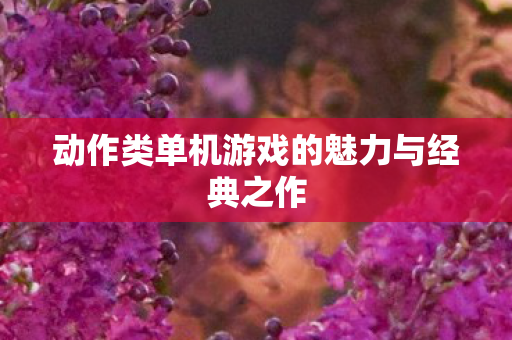 动作类单机游戏的魅力与经典之作