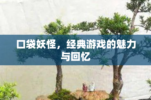 口袋妖怪，经典游戏的魅力与回忆