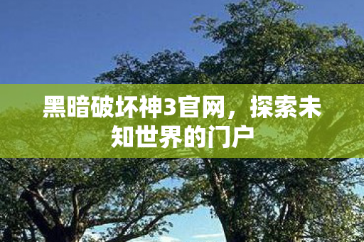 黑暗破坏神3官网，探索未知世界的门户