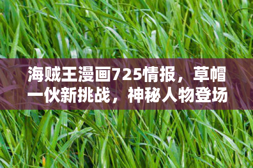 海贼王漫画725情报，草帽一伙新挑战，神秘人物登场