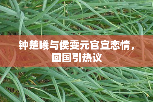 钟楚曦与侯雯元官宣恋情，回国引热议