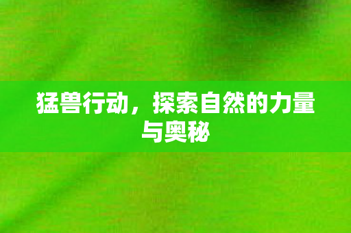 探索自然的力量与奥秘图片