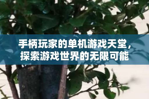 手柄玩家的单机游戏天堂，探索游戏世界的无限可能