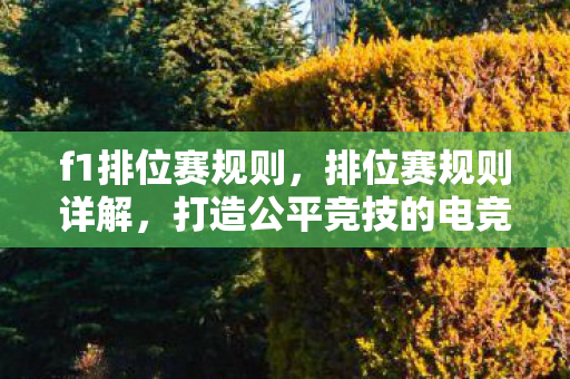 打造公平竞技的电竞环境图片