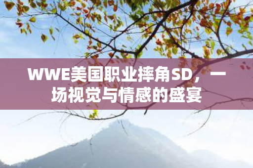 WWE美国职业摔角SD，一场视觉与情感的盛宴