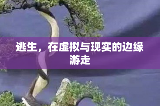 逃生，在虚拟与现实的边缘游走